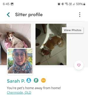 Experienced pet sitter Chermside Brisbane North East Preview