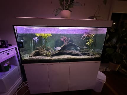 500l fish cheap tank