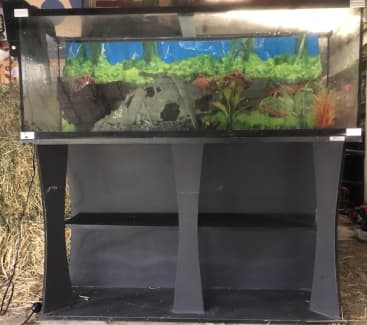 bulk fish tanks