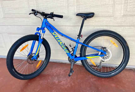 Gumtree kids mountain bike hotsell