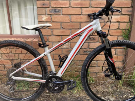 specialized mountain bike gumtree