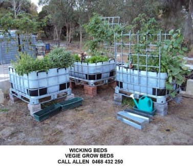 Wicking Bed Vegie Grow From An Ibc