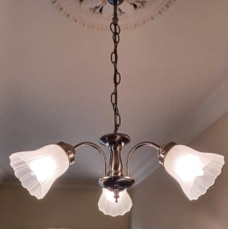 Victorian ceiling deals light shades