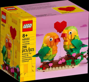 LEGO Valentine Lovebirds 40522 Building Toy Set (298 Pieces)