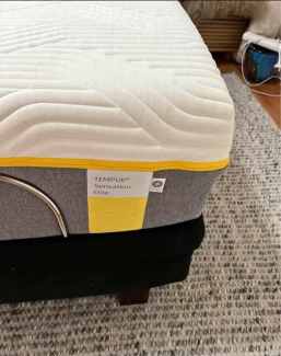 sealy embody prophecy mattress