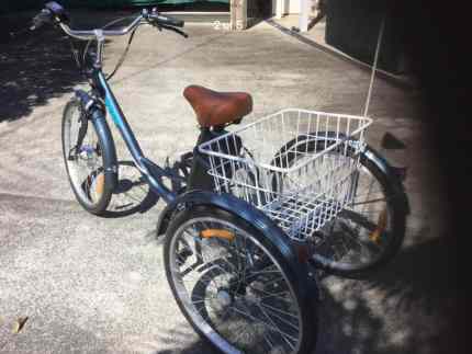 Electric Tricycle REEF Other in Coopernook NSW Gumtree Australia