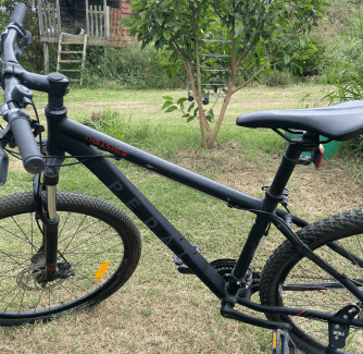 Pedal thrasher cheap mountain bike