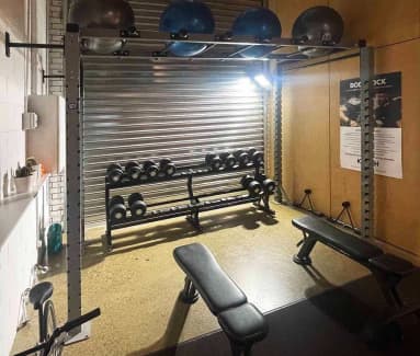 Monkey bars best sale for garage gym