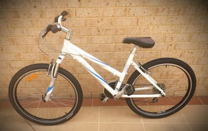 ladies giant rock mountain bike