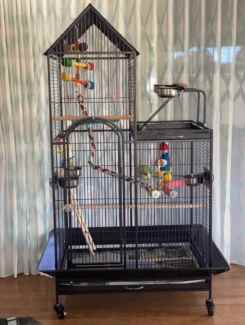 BRAND NEW Best seller Bird cage with Play gym on side eftpos ava Pet Products Gumtree Australia Logan Area Meadowbrook 1326822075