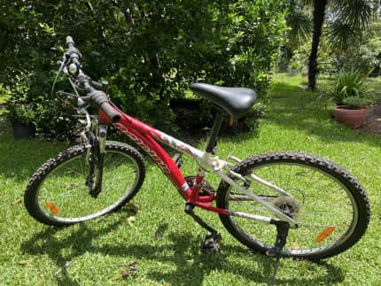 Raleigh best sale eliminator 24