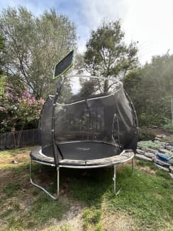 Plum 2024 magnitude trampoline