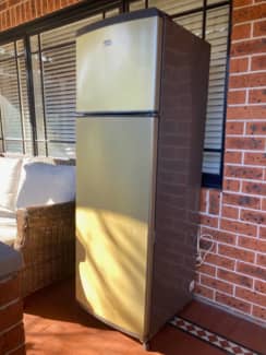 fridge freezer in shed