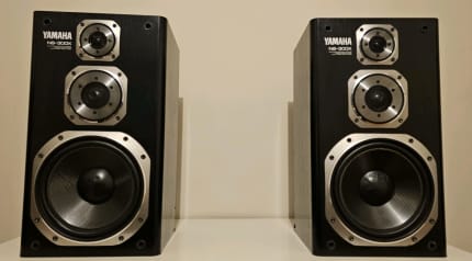 Yamaha ns300x best sale