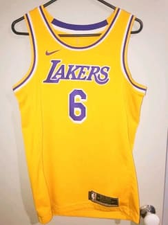 Nike Los Angeles Lakers LeBron James #6 Icon Swingman Jersey