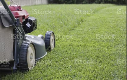 Gumtree outlet grass cutting