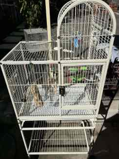 Cockatiel cage gumtree hotsell