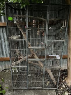 olx parrot cage for sale