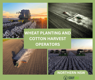 Wheat Planting & Cotton Harvest Operators Moree Moree Plains Preview