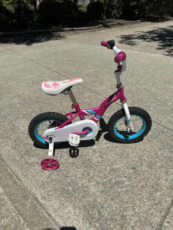 30cm 2024 whirlwind bike