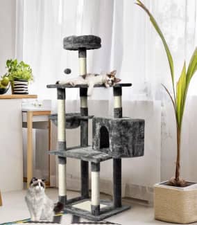 Cat hotsell tower gumtree