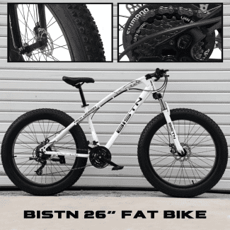 bistn fat bike