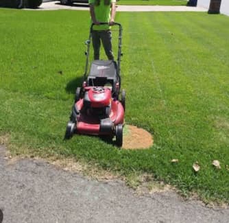 Gumtree lawn deals mowing