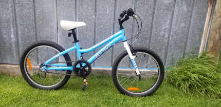 Malvern star discount roxy 20 inch