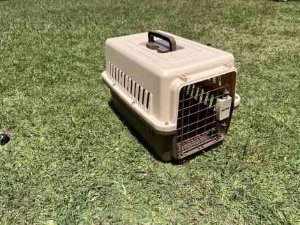 Pet carrier gumtree hotsell