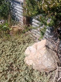 Garden Rocks, Other Garden