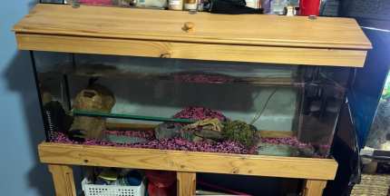 Fish tank accessories Pet Products Gumtree Australia