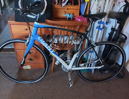 10 Blue And White Giant Defy Alliance Men S Bicycles Gumtree Australia Kempsey Area South Kempsey