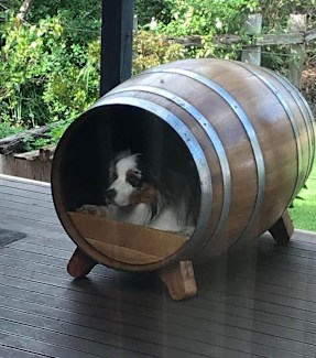 Dog Barrel Oak Vineyard Thanks Fur Everything