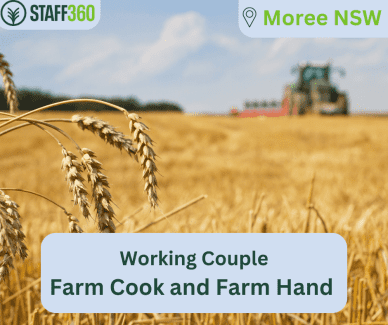 Working Couple Farm Cook & Farm Hand Narrabri Narrabri Area Preview