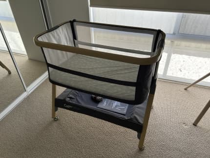 Bassinet gumtree sales