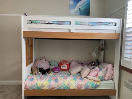 Gumtree bunk deals beds