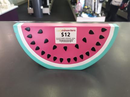 Watermelon 2024 shower speaker