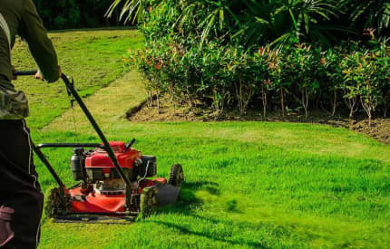 Gumtree 2025 grass cutting