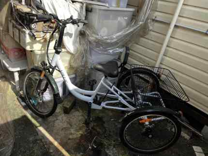 Gumtree electric tricycle deals