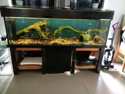 fish tank for sell