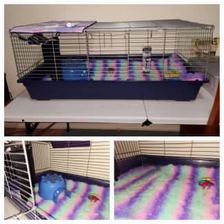 Guinea pig hotsell cage kmart