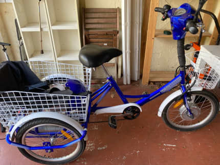 Tebco electric best sale tricycle