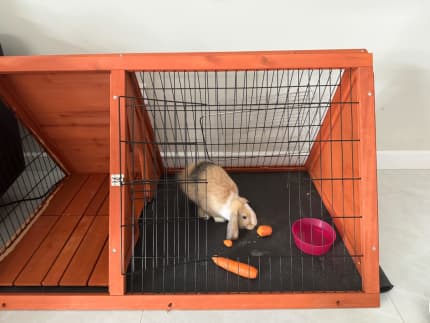 Gumtree best sale rabbit cage