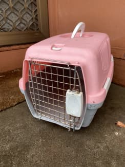 Pet on sale carrier gumtree