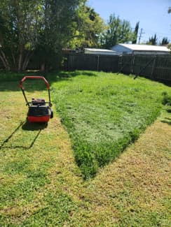 Gumtree lawn deals mowing