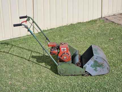 Gumtree reel mower sale