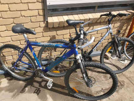 mens 20 frame mountain bike