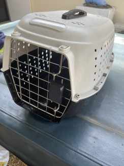 Pet carrier gumtree best sale