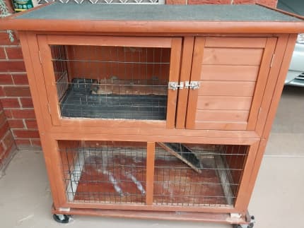 Two storey outlet guinea pig cage