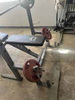 Torros purebred fitness bench sale